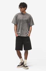 REPRESENT Embroldered Serlf Logo T-Shirt MLM100234-47 I Vintage Grey